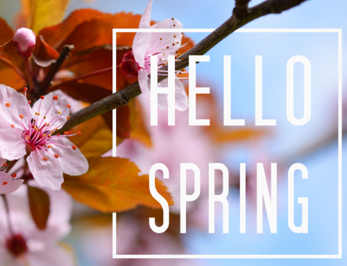 Spring into Success with PCG!